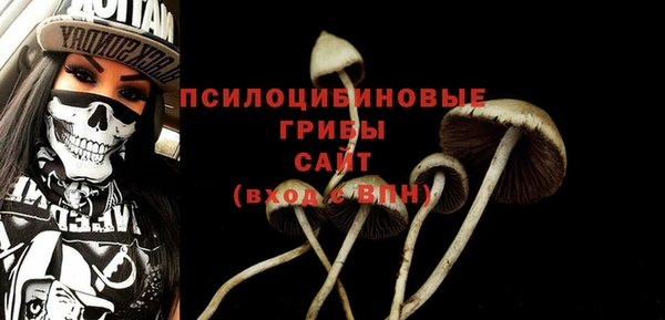 ешки Балахна