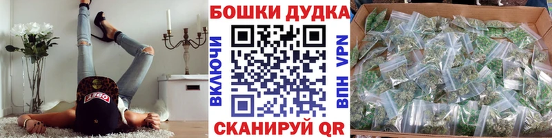 купить   Горнозаводск  Бошки Шишки планчик 